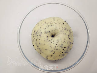 黑芝麻小餐包的做法步骤:4
