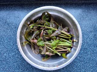 香椿贝尖拌莴笋的做法步骤:4