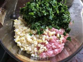 草头笋肉馄饨#春季野菜#的做法步骤:6