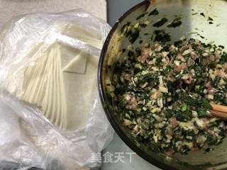 草头笋肉馄饨#春季野菜#的做法步骤：9