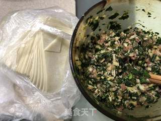 草头笋肉馄饨#春季野菜#的做法步骤:9