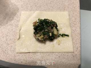 草头笋肉馄饨#春季野菜#的做法步骤:10
