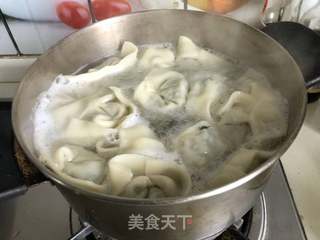 草头笋肉馄饨#春季野菜#的做法步骤:14