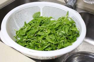 #春季野菜#——荠菜春卷的做法步骤:3