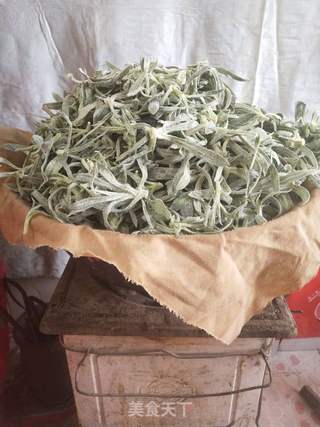 春季野菜:蒸面条菜的做法步骤:4