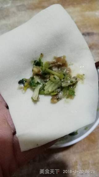 猪肉虾皮馄饨的做法步骤:13