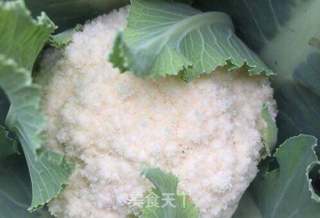 #春日美味#蚂蚁焗香辣花菜的做法步骤：1