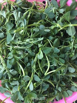 春之食:苜蓿菜馍的做法步骤:3
