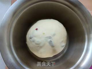 双拼餐包的做法步骤:12