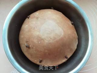 双拼餐包的做法步骤:14