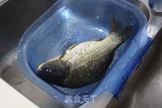 番茄鲫鱼汤的做法步骤:2