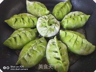 韭菜鸡蛋水煎包的做法步骤:8