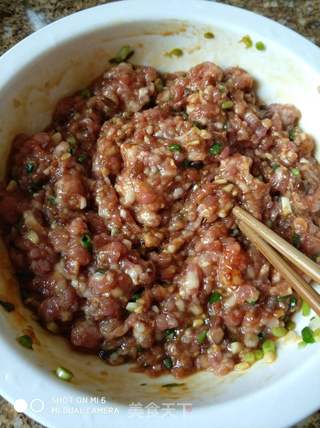 酸菜猪肉包子的做法步骤:2