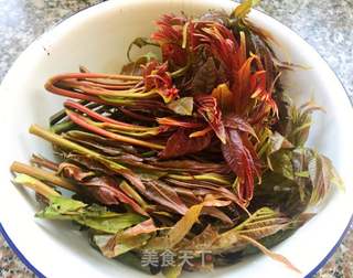 #春季野菜#香椿拌金豆的做法步骤:5