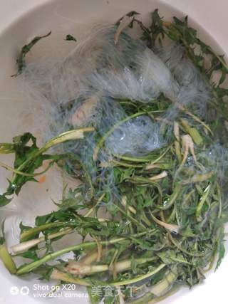 蒲公英拌粉丝的做法步骤:6