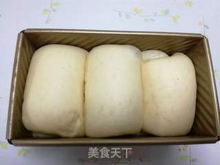 汤种北海道吐司的做法步骤:19