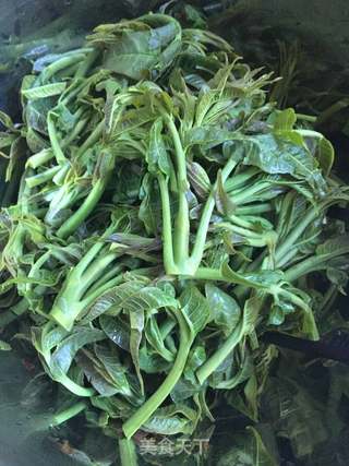 春之食:香椿炒鸡蛋的做法步骤:3