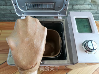 全麦坚果奶酪面包的做法步骤:5