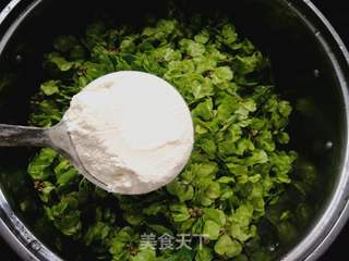 春天的味道:蒸榆钱的做法步骤:4