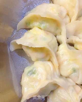 圆白菜素煎饺的做法步骤:19