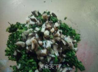 荠菜肉包的做法步骤：4