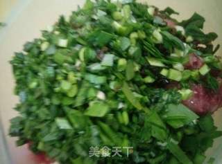 荠菜肉包的做法步骤：6