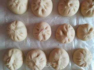 鲜肉包子的做法步骤:8