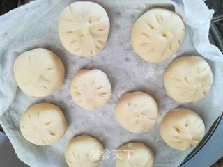 鲜肉包子的做法步骤:9
