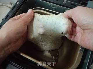 全麦吐司的做法步骤:8