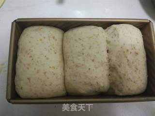 全麦吐司的做法步骤:16
