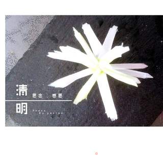 大葱杭白菊的做法步骤:7