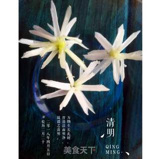 大葱杭白菊的做法步骤:8