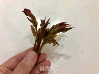 留住春天的味道——储存香椿的做法步骤：1