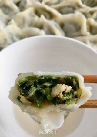 苔菜猪肉水饺的做法步骤:13