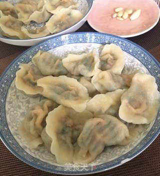 韭菜猪肉水饺的做法步骤:8