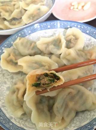 韭菜猪肉水饺的做法步骤:9