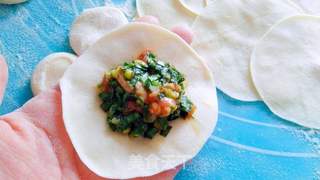 韭菜肉煎饺的做法步骤:11