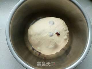 蔓越莓排包的做法步骤:8