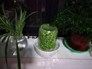酸豆角炒肉末(附酸豆角快速的做法)的做法步骤:6