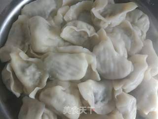 猪肉酸菜饺子的做法步骤:12