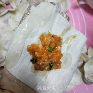 胡萝卜鲜肉馄饨的做法步骤:7