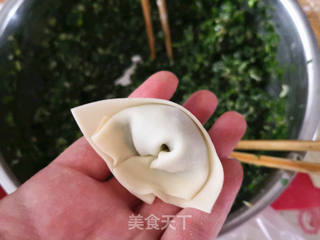 韭菜虾皮馄饨的做法步骤:7