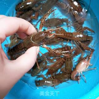 香辣小龙虾的做法步骤:4