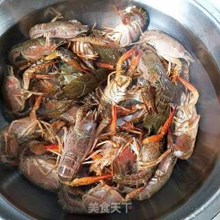 香辣小龙虾的做法步骤:10
