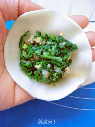 油脂荠菜馅蒸饺的做法步骤:10