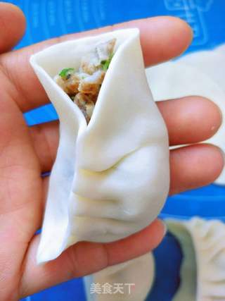 油脂荠菜馅蒸饺的做法步骤:11