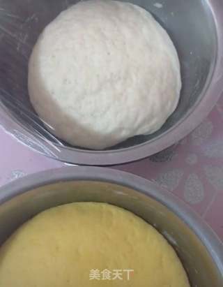 小猪豆沙包的做法步骤:5
