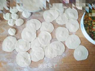 黄瓜蔬菜饺子的做法步骤:6