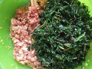 山芹菜饺子的做法步骤:3