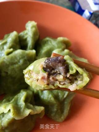 翡翠白菜海参肉饺的做法步骤:17